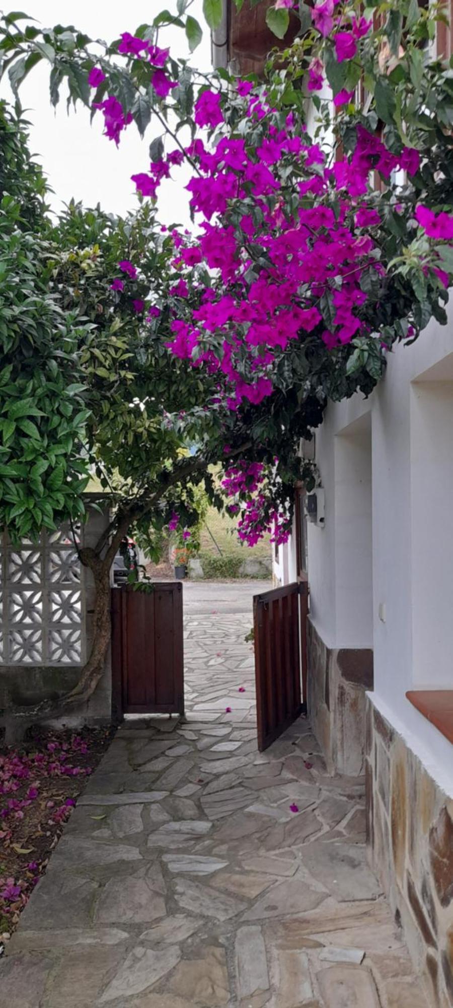 Gestiona2R - Casa Con Finca En Pendueles Al Lado De La Playa ยาเนส ภายนอก รูปภาพ
